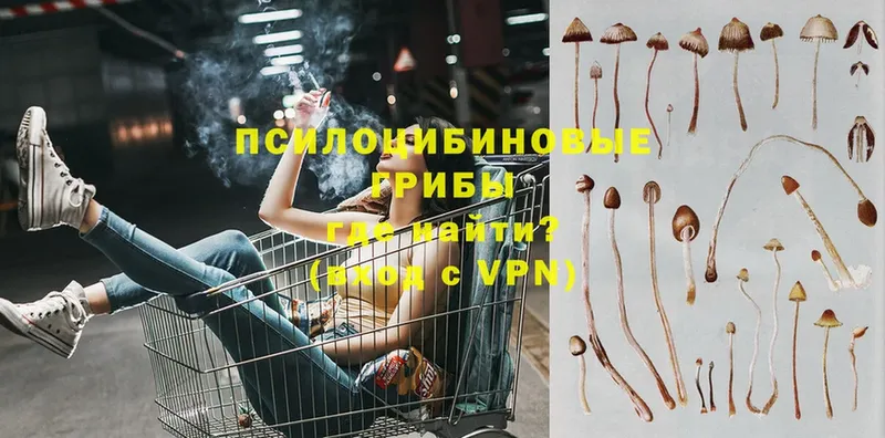 Псилоцибиновые грибы MAGIC MUSHROOMS Азнакаево